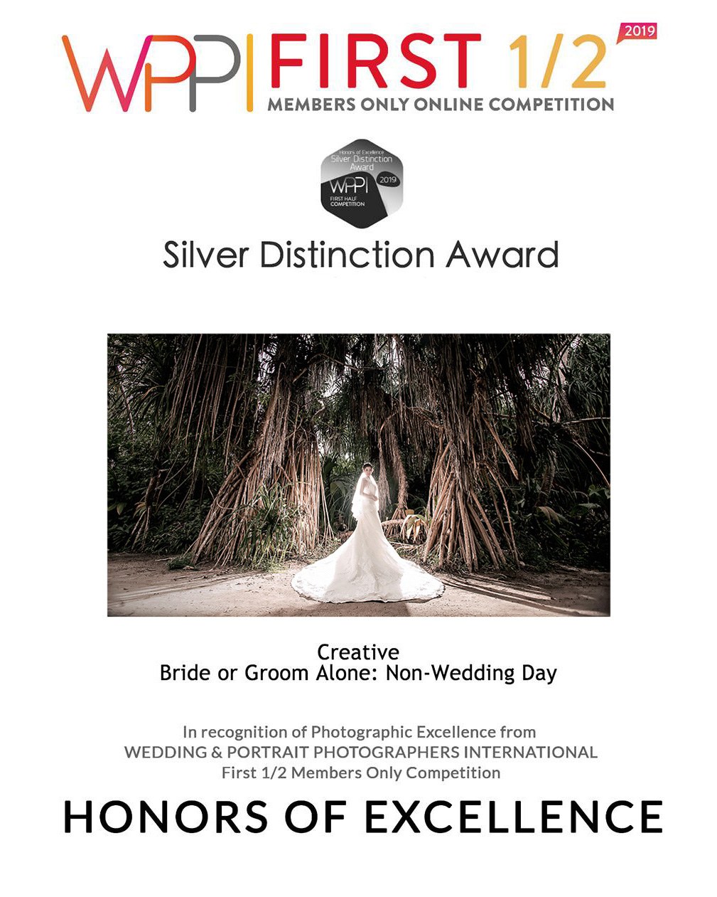 WPPI Silver Distinction Award